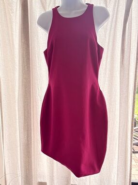 Elizabeth and James Bridget
Asymmetric Dress Sangria Pink Size 8